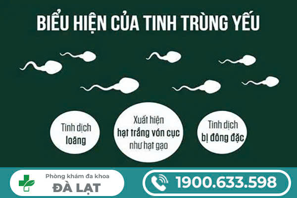 Hình ảnh minh họa